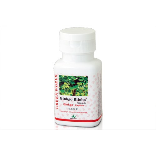 Ginkgo Biloba